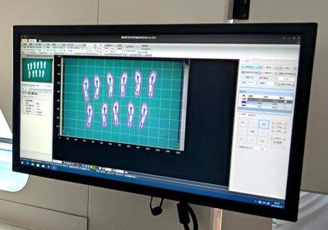 vision system 12090